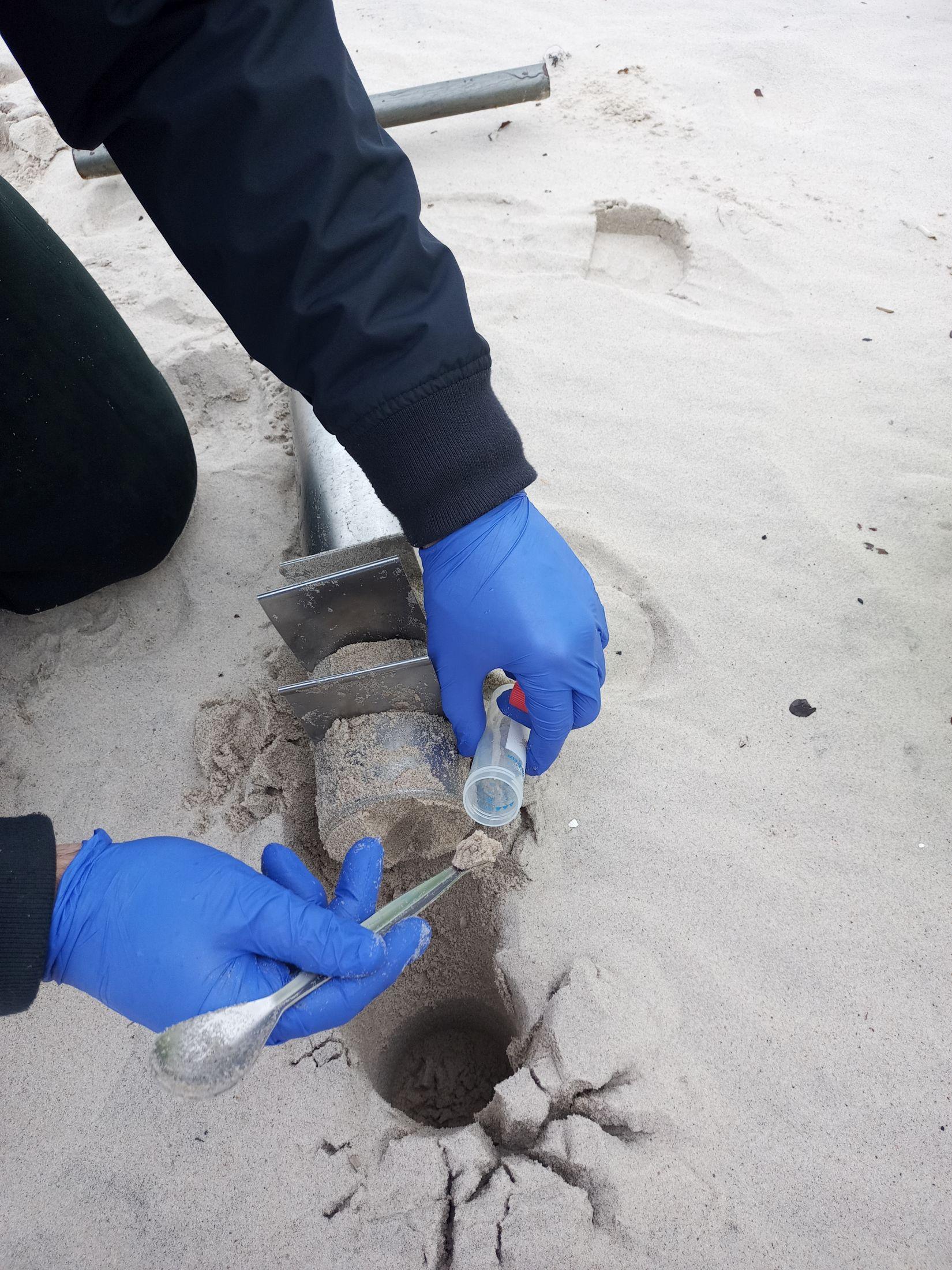 Badania środowiskowe dotyczące mikroorganizmów zasiedlających piaszczyste plaże morskie Morza Bałtyckiego